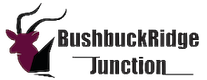 Bushbuckridge Junction Logo